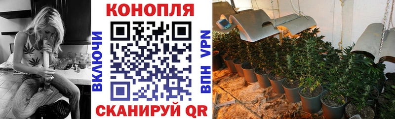МАРИХУАНА тримм  закладка  Кувандык 